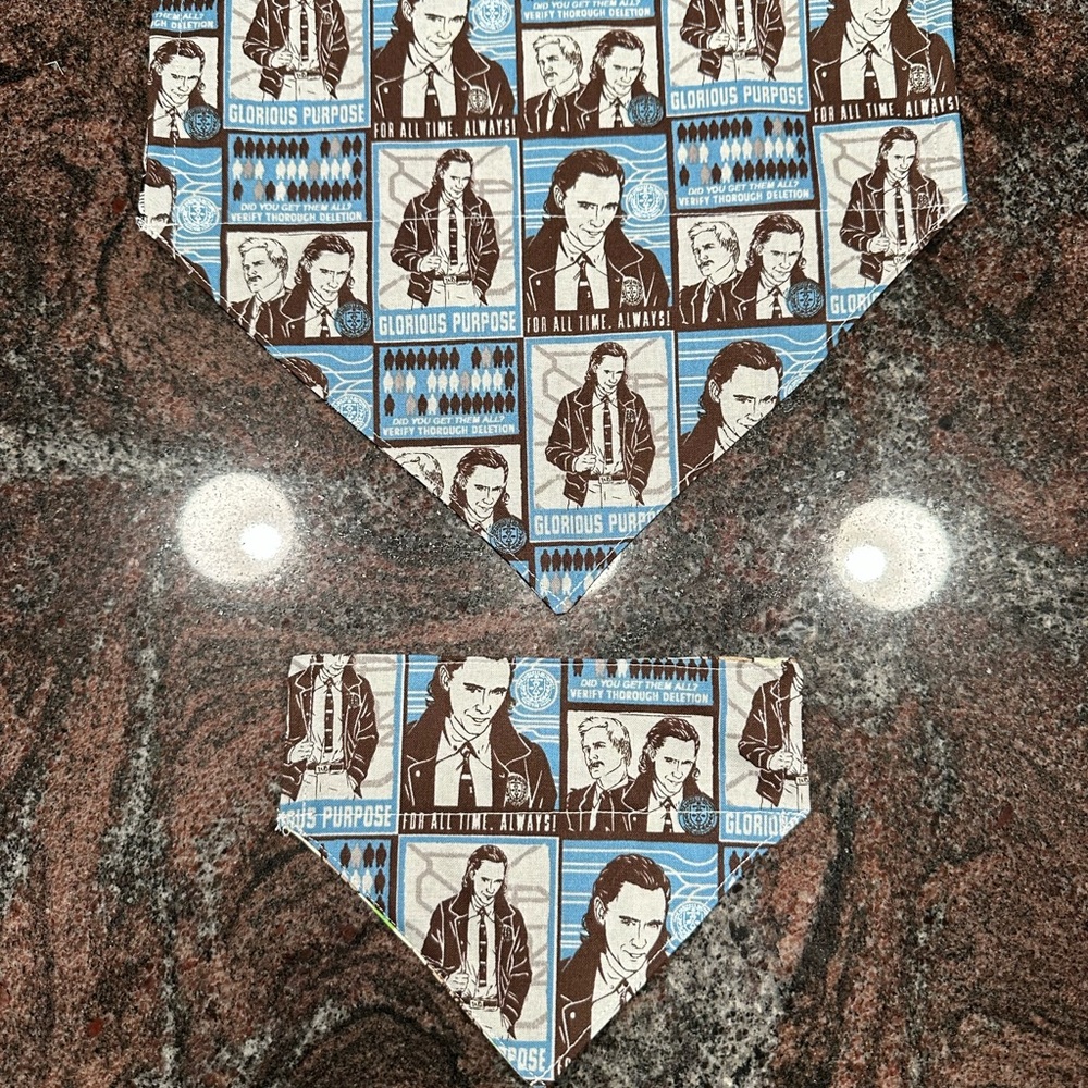 Handmade Reversible pet bandana made with Loki fabric